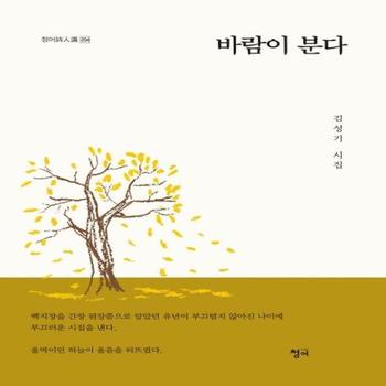 바람이 분다 (김성기 시집)
