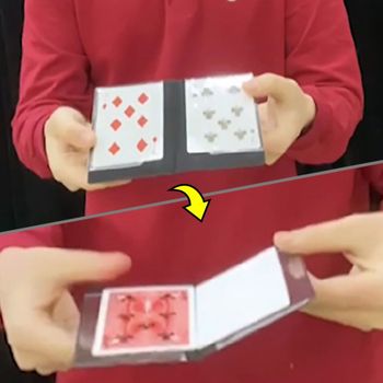멜트카드 카드마술 이동하는마술 간단한 초보 마술 도구