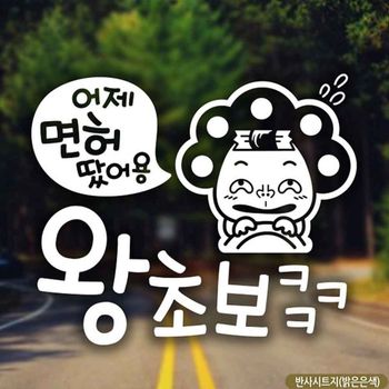 어제면허땄어용 IMG743Y7 반사시트지 왕초보 자동차스티커