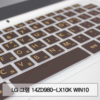 LG 그램 14ZD980-LX10K WIN10 말싸미키스킨