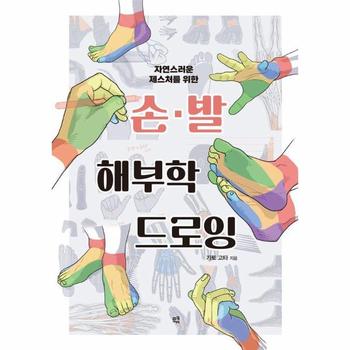 손·발 해부학 드로잉 : 자연스러운 제스처를 위한