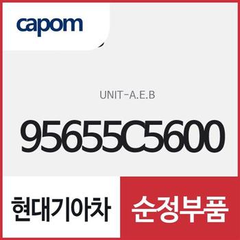자동 긴급 제동 장치 유니트 (95655C5600) 쏘렌토