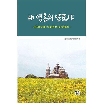 내 영혼의 알료샤 - 천명 박요한의 문학세계