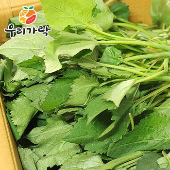 [우리가락]취나물 250g(참취)