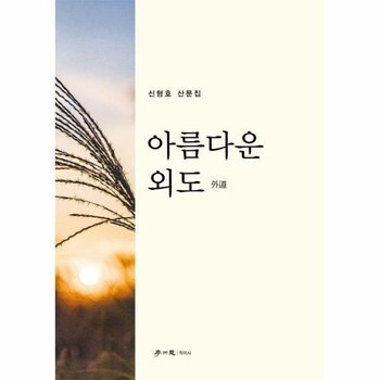 아름다운 외도