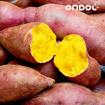 [오늘출발] [온도씨]26년 수확 해남 세척 꿀고구마 5kg (한입)