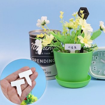 고품질 화분 소형 10P 사각 미니 다육이 식물이름표 튼튼 원예이름표 (WFI0LON)