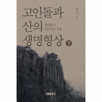 인왕출판사 고인돌과 산의 생명형상(하)