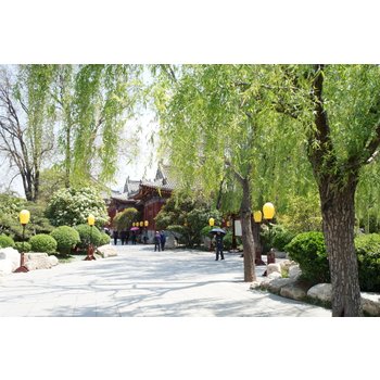 서안/화산 5일 애금해온천 명품5성급 화산서북봉 왕복케이블카 반나절트래킹 실크로드쇼 전신마사지 지하궁전 병마용갱