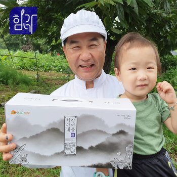 힘가네 / 힘가네 민물 장어즙 장어 진액 3박스(70ml x 30개입)