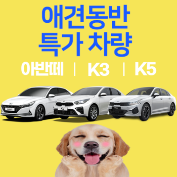 제주OK렌터카 애견동반 차종 특가 1일권(자차가입 시 보상한도 무제한/제주공항3분거리/오전7시~밤10시 무료배반차)