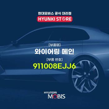 와이어링 메인 (911008EJJ6)