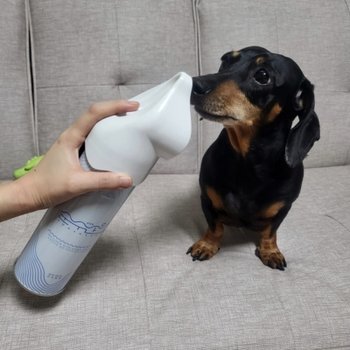 순수산소 더 펫 강아지 산소캔 휴대용 가정용 산소호흡기 655ml