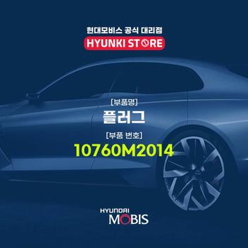 플러그 (10760M2014)