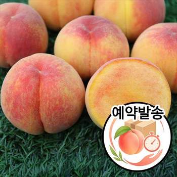 장호원 햇사레 복숭아 황도복숭아 3kg (13-15과)