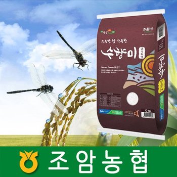 수향미 10Kg /경기도 조암농협 2025년햅쌀/ 골든퀸 3호