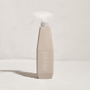 디아 얼룩제거제 500ml