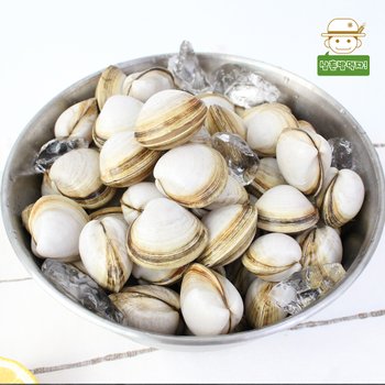 서해안 서천 동죽 조개 2kg