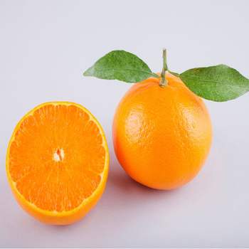 (신선채) D8I5V0F8 제주 천혜향 혼합과 5kg