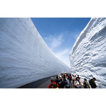 나고야/알펜루트 4일 설벽횡단 토롯코열차 시라카와고 일본알프스 이누야마성 나고야성 나고야라라포트