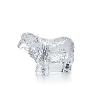 BACCARAT 조디악 클리어 쉽 2027