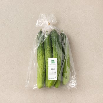 백오이 800g (5입)