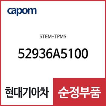 스템-TPMS (52936A5100) 레이, 올뉴 카렌스, 더뉴 i30, 제네시스, 제네시스 G80, 맥스크루즈, 뉴 에쿠스, 더뉴 제네시스 쿠페, 올뉴 싼타페, 싼타페 더 프라임, 레이 전기차 EV, 더뉴 K7, 베라크루즈, 아슬란, YF쏘나타, YF쏘나타 하이브리드,