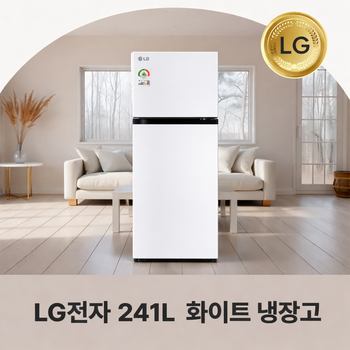 일반 냉장고 B245W22 전국설치 소형 2도어 냉장고 화이트 241L 무료배송설치 [구모델 B243W32]