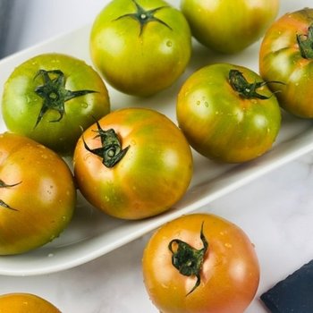 G 단짠단짠 대저토마토 2.5kg (M-S)