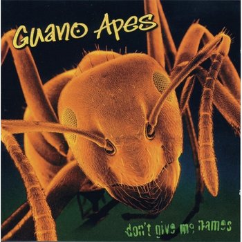 [LP]Guano Apes - Dont Give Me Names (Black Vinyl) [Lp] / 구아노 에입스 - 돈 기브 미 네임스 (블랙 바이널) [Lp]
