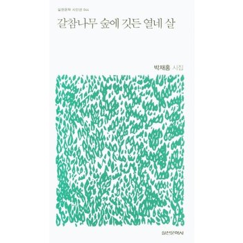 갈참나무 숲에 깃든 열네 살 - 실천문학 시인선 44