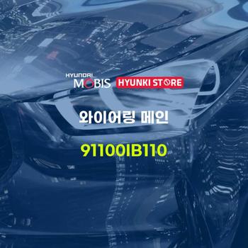 와이어링 메인 (91100IB110) 현대모비스부품몰