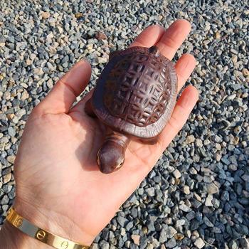 [JHM40469_51AJ]생기 거북이 풍수 개업 이사 선물 수맥 1p (29142980A)