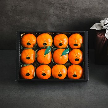 [SSG상품권증정이벤트][1/26(월)순차출고]제주 서귀포 고당도 레드향 4.7kg (25-30과) 과일선물세트