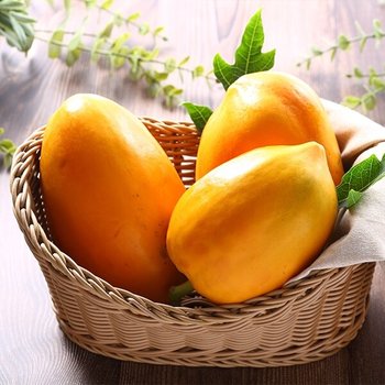 국내산 스위탄 파파야 2호 1.5kg(2-3과)