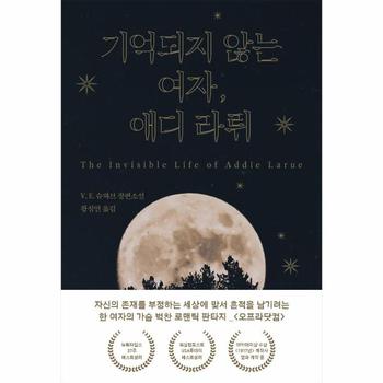 기억되지 않는 여자  애디 라뤼   뒤란에서 소설 읽기 2