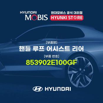 현대모비스핸들 루프 어시스트 리어 (853902E100GF)