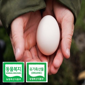 투빌드어홈 동물복지 유기축산 난각번호 1번 유정란 달걀 40구 계란