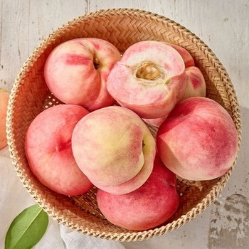 [산지직송] 달콤아삭한 딱딱이 차돌복숭아 4kg (18-20과)
