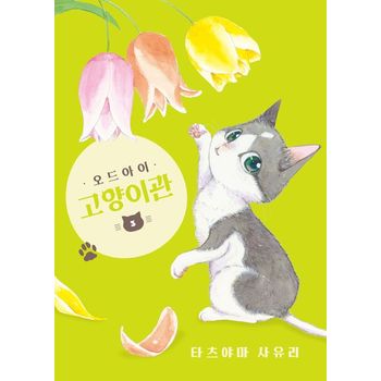오드아이 고양이관 3