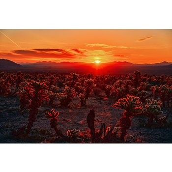 미서부 4대 캐년 9일 베스트상품 대한항공 탑승 조슈아트리 국립공원 호스슈벤드 4대국립공원 3대도시