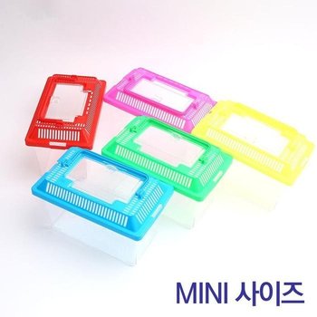 미니 곤충 채집통 관찰통 파충류 다슬기 이 어항 (52185431)