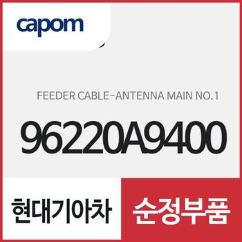 안테나 메인 NO.1 피더 케이블 (96220A9400) 카니발