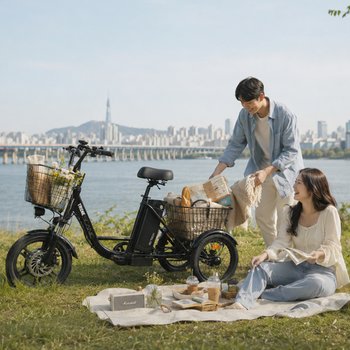 AU테크 스카닉 트라이크16 TRIKE 실버 여성용 주부 세발 삼륜 전동 전기자전거