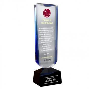 시상대형트로피 고급패 상장케이스 크리스탈 왕중왕기의 감사패 취임패 상패 공로패 축하패