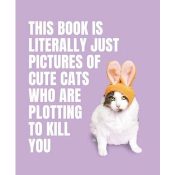This Book Is Literally Just Pictures of Cute Cats Who Are Plotting to Kill You