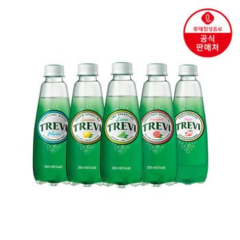 롯데칠성 트레비 300ml x 40개 4종[35939345]