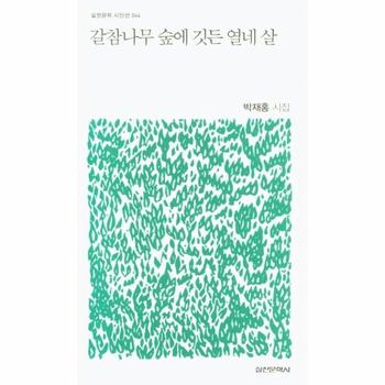 갈참나무 숲에 깃든 열네 살 - 실천문학 시인선 44