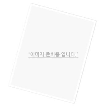 LANstar 보급형커플러,Y형,CAT.5E,8P8C,1:2,Pintype