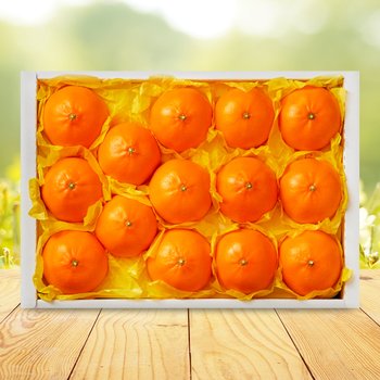 [SSG상품권증정이벤트][순차/지정일출고][맛딜] 제주 천혜향 선물세트 2.5kg (8-13과)